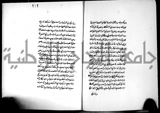 شرح شذور الذهب في معرفة كلام العرب 