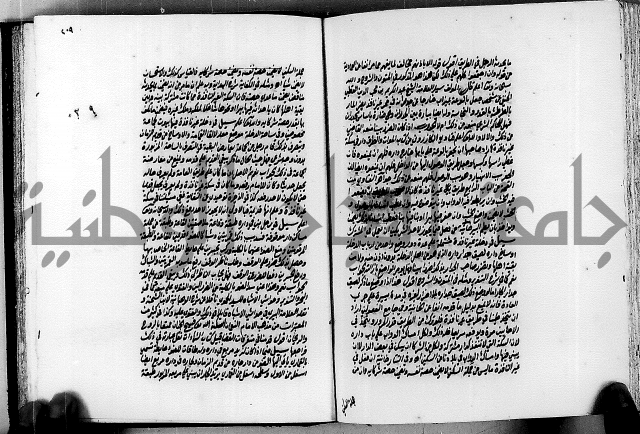 الجواهر الدورية في تنقيح الفتاوى الحامدية ج2 