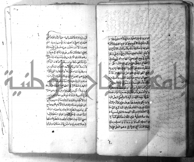 شرح الشافية 