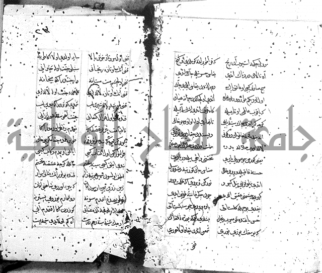كتاب يوسف زليخا المؤلف 