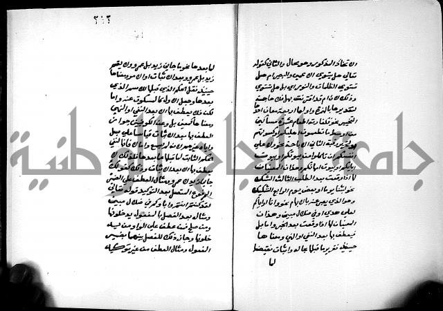 شرح شذور الذهب في معرفة كلام العرب 