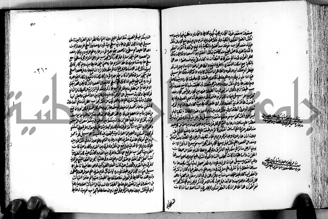 الجواهر الدورية في تنقيح الفتاوى الحامدية ج2 