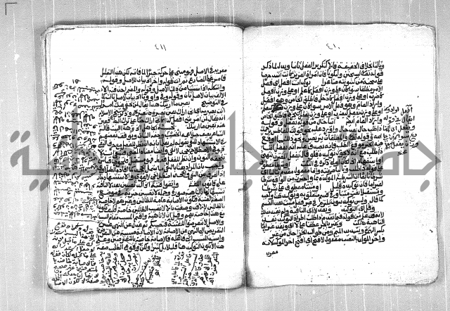 فتح الجليل  على شرح ابن عقيل 