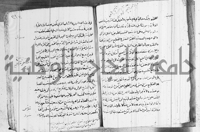 التقريب في علم الغريب