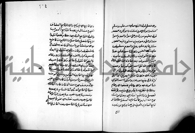 شرح شذور الذهب في معرفة كلام العرب 