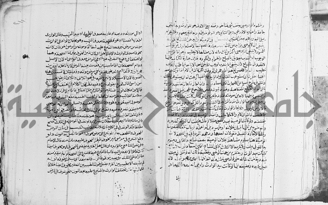 الزيادي على المنهج 