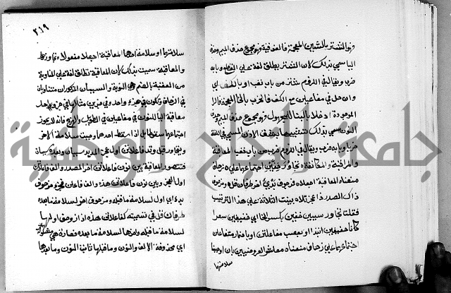 مختصر حاشية القهوتي 