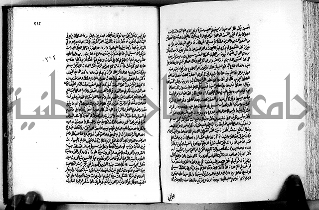 الجواهر الدورية في تنقيح الفتاوى الحامدية ج2 