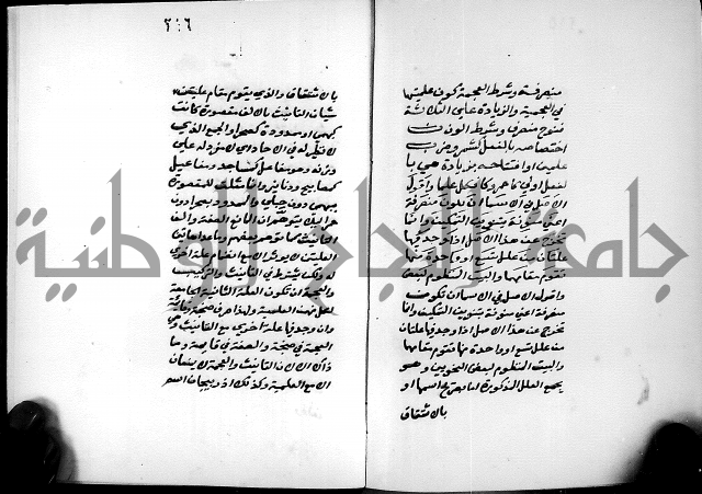 شرح شذور الذهب في معرفة كلام العرب 