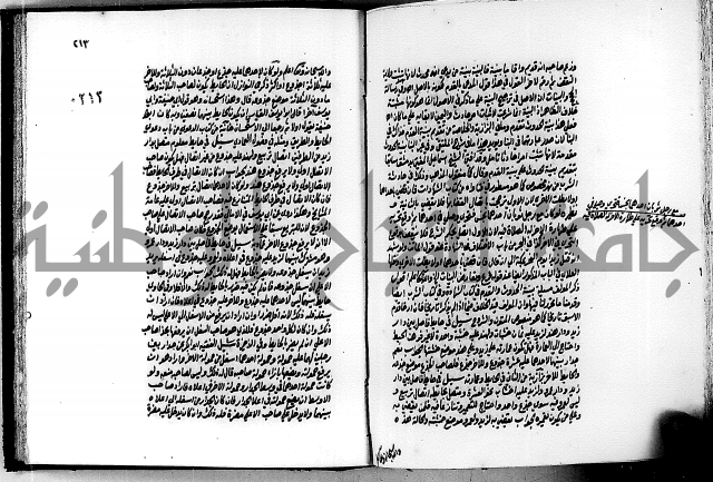 الجواهر الدورية في تنقيح الفتاوى الحامدية ج2 