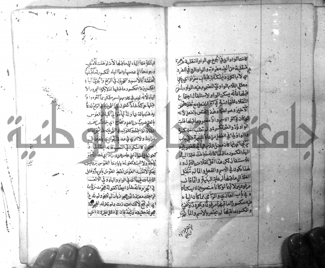 شرح الشافية 