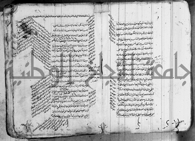 فوائد على الكافية 