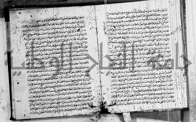 شرح كتاب قطر الندى وبل الصدى