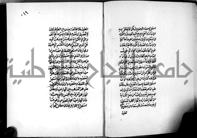 الرسالة البيانية