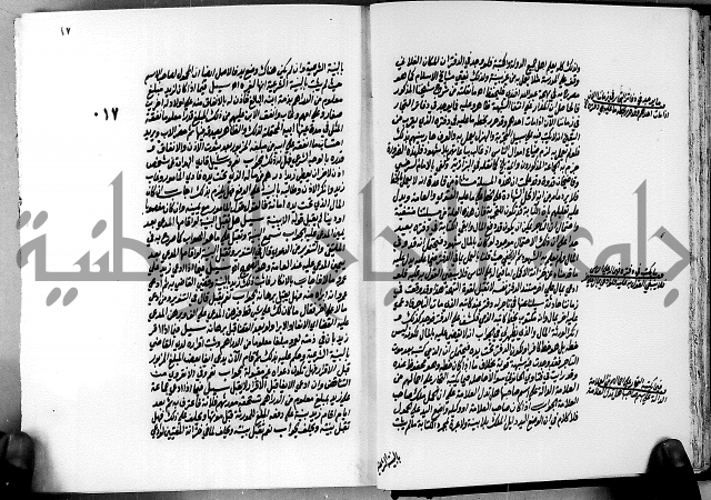 الجواهر الدورية في تنقيح الفتاوى الحامدية ج2 