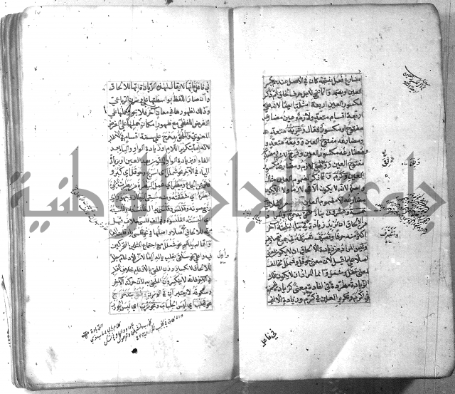 شرح الشافية 