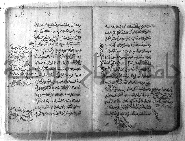التفنن في الصرف