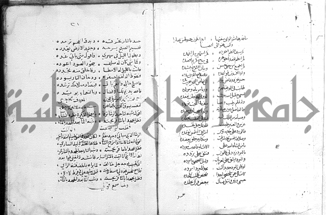 كتاب في الادب 