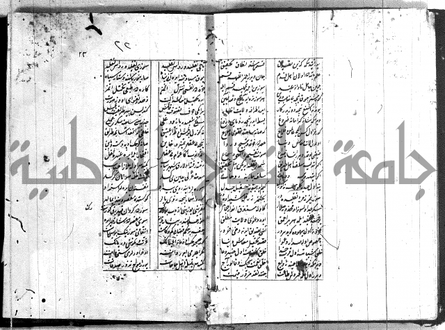 نظم تركي