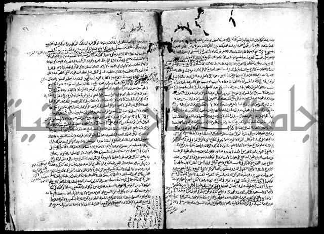 نهاية المحتاج الى شرح النهاج 2