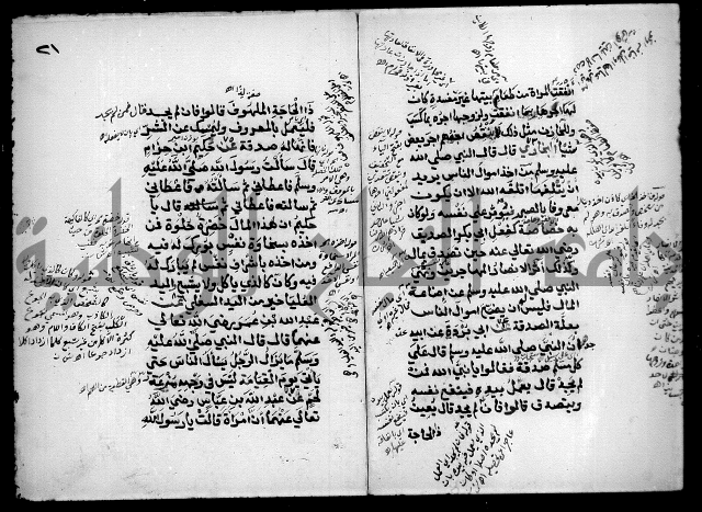 مختصر صحيح البخاري = جمع النهاية في بدء الخير والغاية