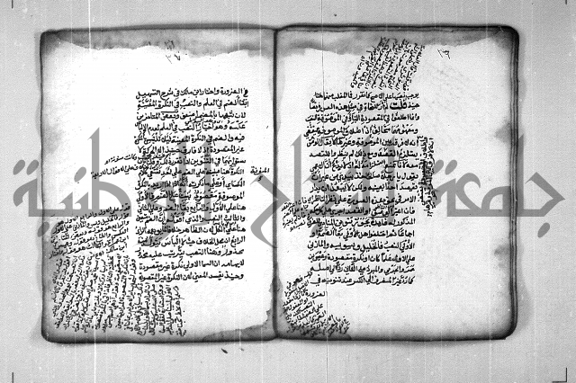شرح الهمزية  