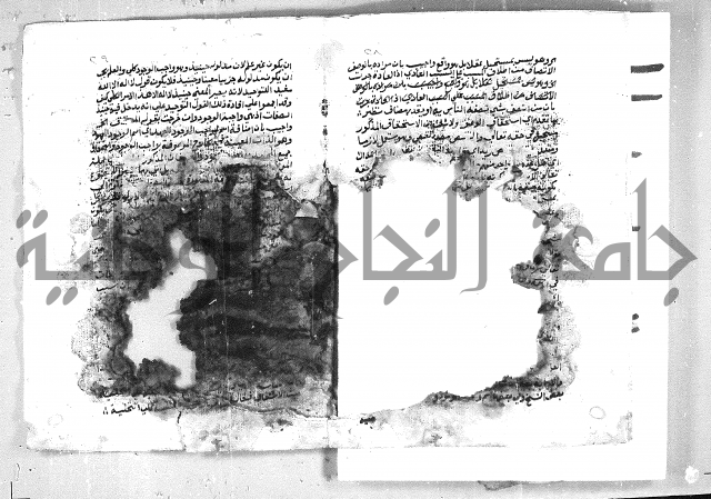 الهدهدي 