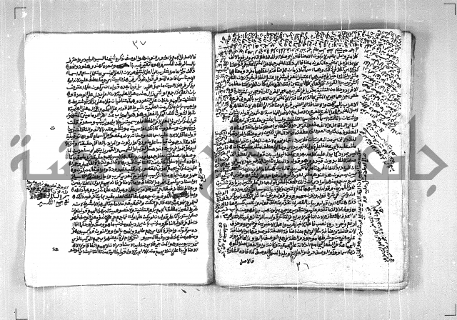 فتح الجليل  على شرح ابن عقيل 