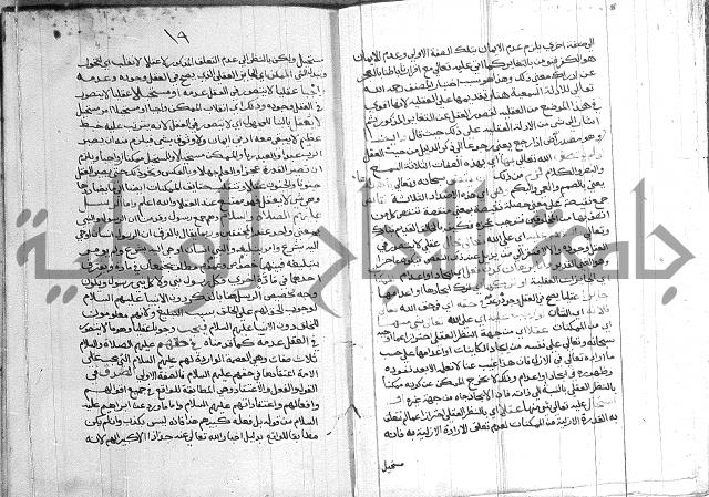 الانوار الالهيه في شرح المقدمه السنوسيه 