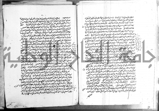 كتاب في اللغة العربية