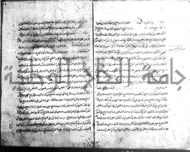 منية الفتى 