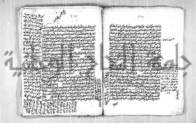 فتح الجليل  على شرح ابن عقيل 