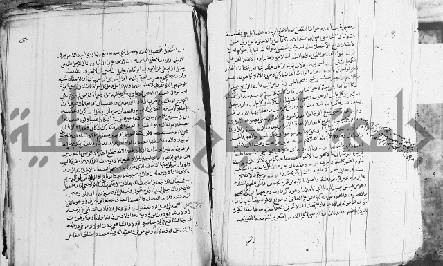 الزيادي على المنهج 