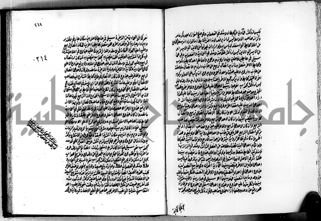 الجواهر الدورية في تنقيح الفتاوى الحامدية ج2 