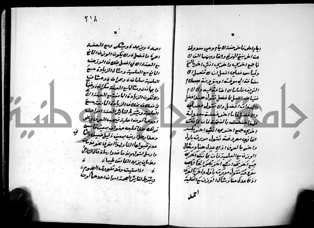 شرح شذور الذهب في معرفة كلام العرب 