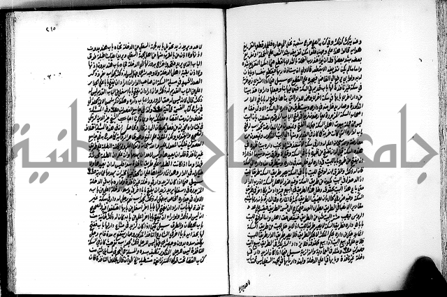 الجواهر الدورية في تنقيح الفتاوى الحامدية ج2 