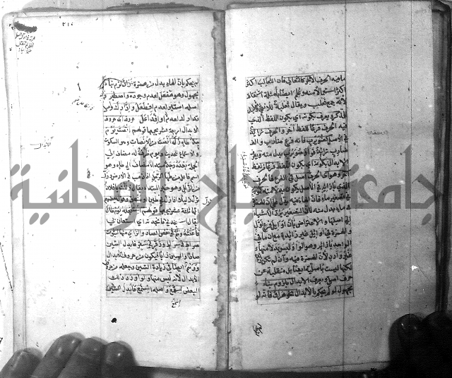 شرح الشافية 