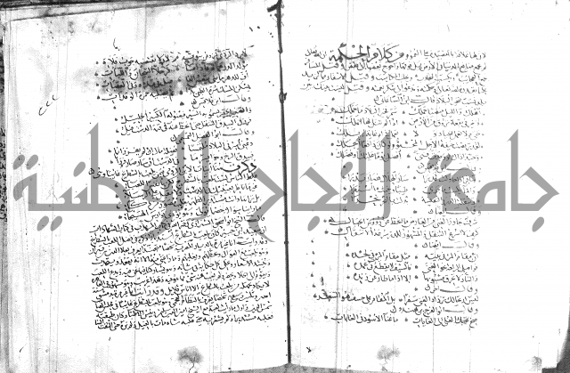 شرح لامية العجم 