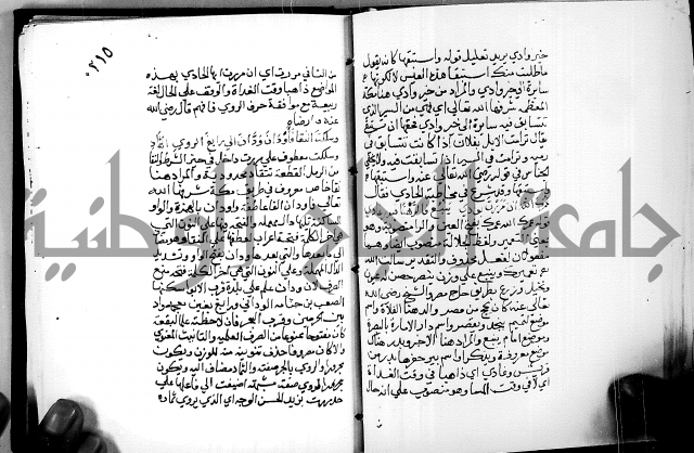 البحر الفائض في شرح ديوان ابن الفارض البوريني 