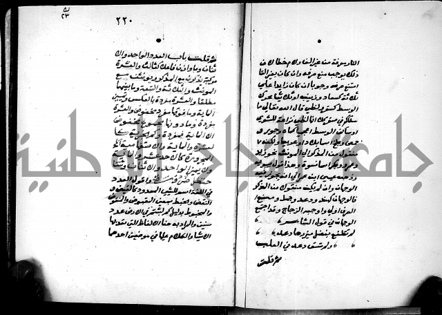 شرح شذور الذهب في معرفة كلام العرب 