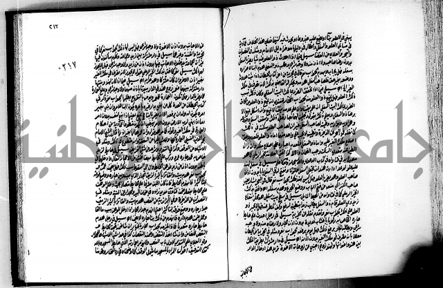 الجواهر الدورية في تنقيح الفتاوى الحامدية ج2 