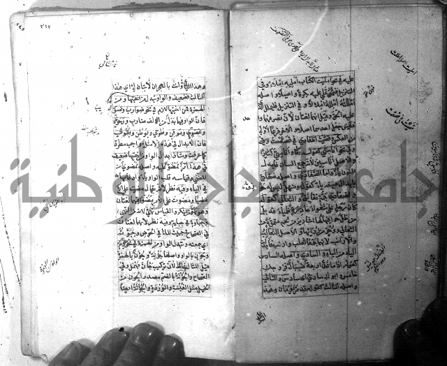 شرح الشافية 