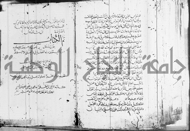كشف المشكلات 