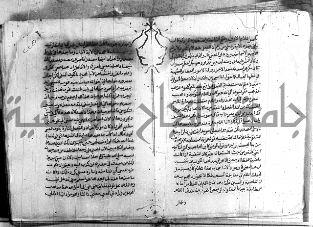 العقود الجوهرية 