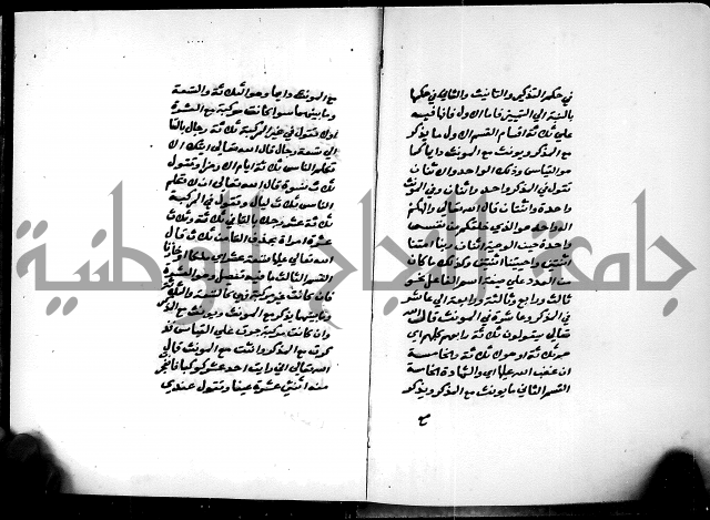 شرح شذور الذهب في معرفة كلام العرب 