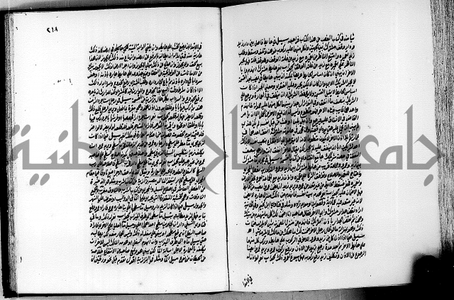 الجواهر الدورية في تنقيح الفتاوى الحامدية ج2 
