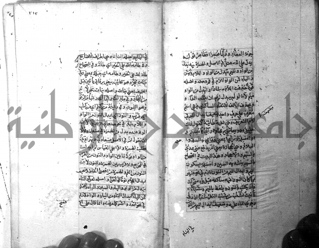 شرح الشافية 