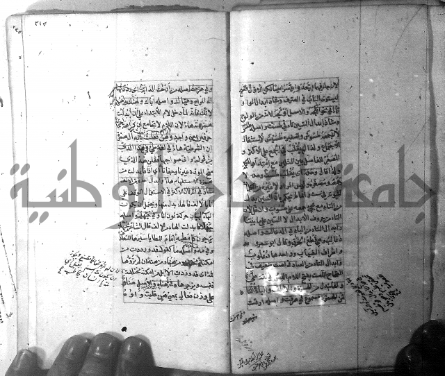 شرح الشافية 