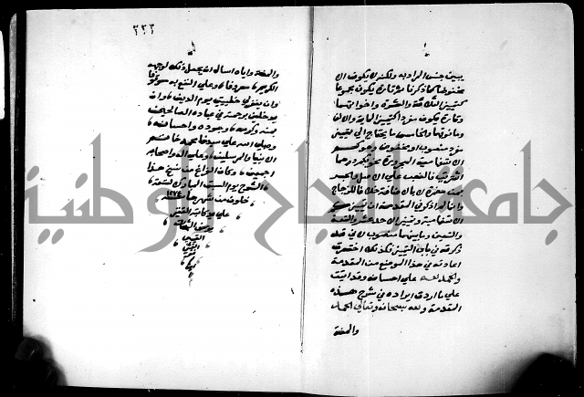 شرح شذور الذهب في معرفة كلام العرب 