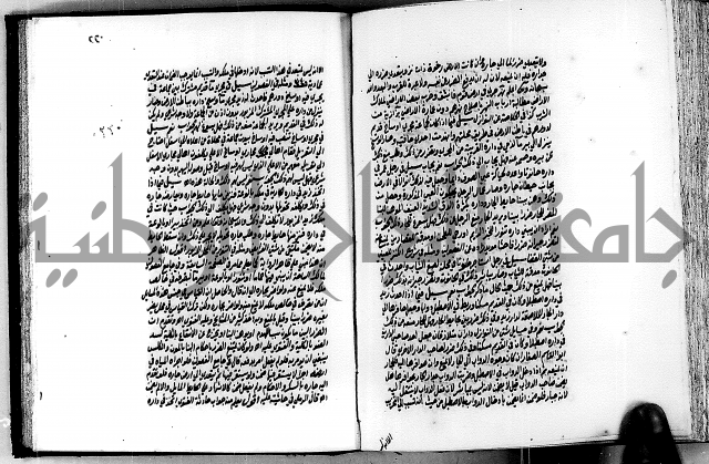 الجواهر الدورية في تنقيح الفتاوى الحامدية ج2 